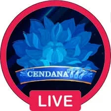 cendana777 Terbaru: Download APK Resmi dan Aman dan hajitoto: Rangkuman Brand yang Banyak Dicari