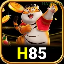 h85 hajitoto