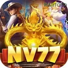 nv77 hajitoto